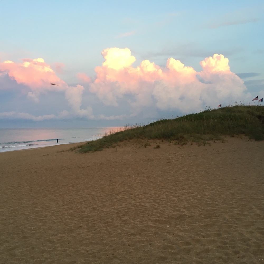 Meet your Posher, Shannon